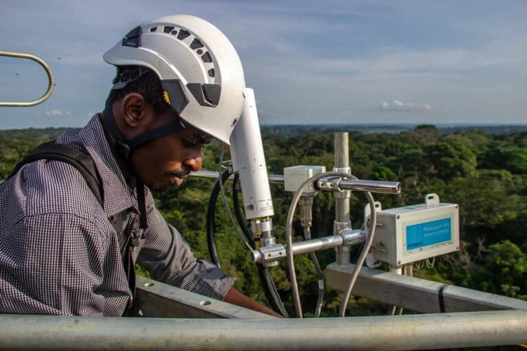 Rumors on Congo Basin climate projects shed light on conservation efforts.