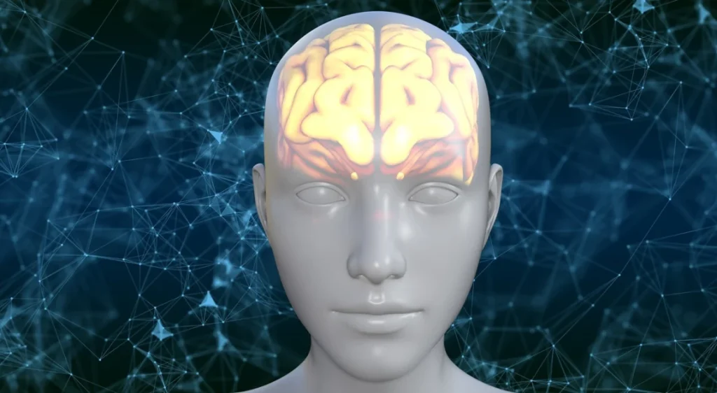Il potere del cervello: trasformare i sensi in esperienza per dare significato al mondo.