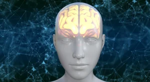 Il potere del cervello: trasformare i sensi in esperienza per dare significato al mondo.