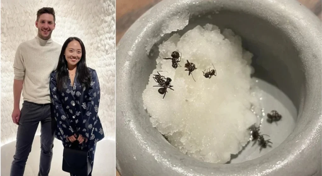 Dolce con formiche in ristorante 2 stelle Michelin: proprietari multati per opzione ai clienti.