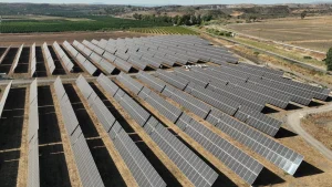 Sicilia, nasce a Catania il più grande impianto agrivoltaico d’Italia: Big Fish da 227 MW