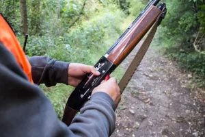 Caccia, preaperture in 16 regioni: il WWF lancia l’allarme sulla tutela della fauna selvatica