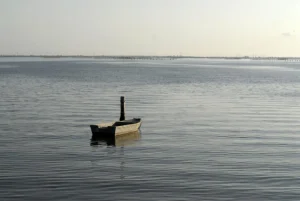 Inaugurato a Porto Viro l’impianto cofinanziato da Regione Veneto per intercettare i rifiuti fluviali nel Delta del Po