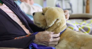 In Italia 1,2 milioni di persone con demenza, oltre la metà affette da Alzheimer