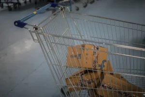 Google sperimenta l’acquisto da Walmart Flipkart tramite Gemini e AI Mode in India. Ottimizza per Google Discover.