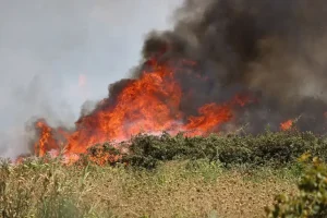 Incendi, lunedì 14 settembre confermato il codice giallo a Cagliari
