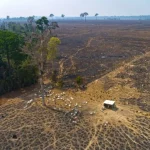 Invasori minacciano popolazioni indigene isolati nell’Amazzonia: tempesta in arrivo.