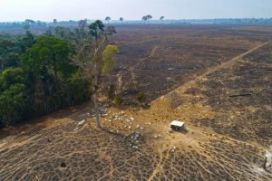 Invasori minacciano popolazioni indigene isolati nell’Amazzonia: tempesta in arrivo.