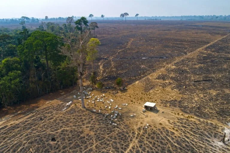 Invasori minacciano popolazioni indigene isolati nell’Amazzonia: tempesta in arrivo.