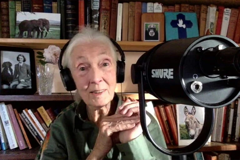 Onorare il legato conservazionista di Jane Goodall e contrastare la disinformazione: una missione importante.