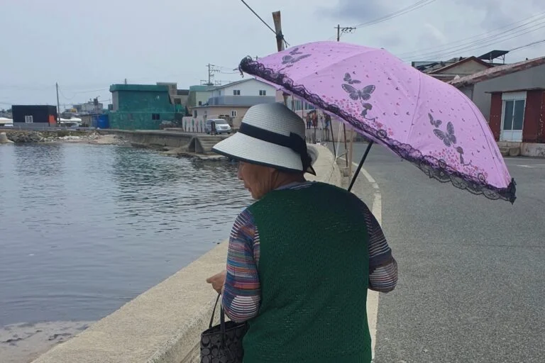 Le “donne del mare” della Corea del Sud lottano per la giustizia dopo la devastazione dell’habitat marino.