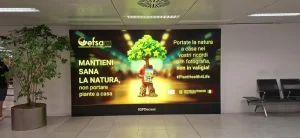 Protezione biodiversità negli aeroporti: Plant Health 4 Life a Malpensa e Linate.