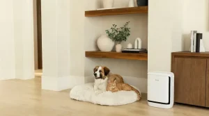 Il nuovo purificatore d’aria Levoit per eliminare gli odori degli animali domestici in casa.