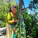 Donne combattenti nei roghi boschivi di Uttarakhand: un racconto di coraggio e resilienza.