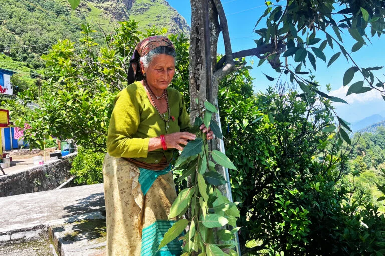 Donne combattenti nei roghi boschivi di Uttarakhand: un racconto di coraggio e resilienza.