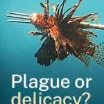 Perché uccidono questo splendido pesce? Un mistero svelato sulla caccia indiscriminata.
