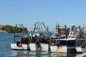 Delegazione Parlamento Europeo visita delta del Po per valutare sfide ambientali e esigenze pescatori locali