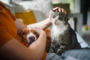 Figli? Per i giovani cresce la scelta di vivere con un cane o un gatto