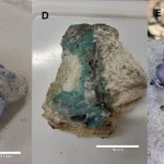 Plastica fusa ai detriti di corallo: nuova preoccupazione per l’inquinamento marino.