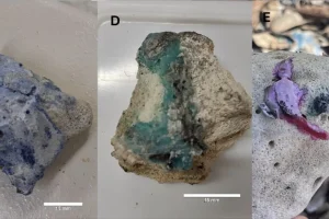 Plastica fusa ai detriti di corallo: nuova preoccupazione per l’inquinamento marino.