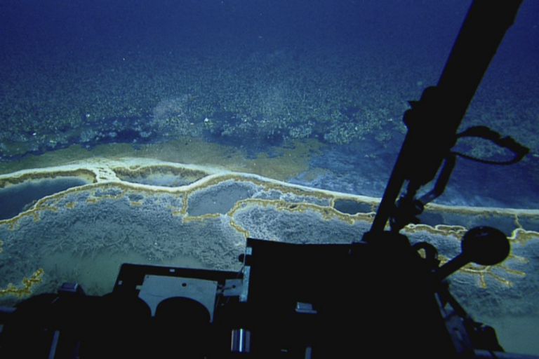 Orca Basin del Golfo del Messico: no a trasformarlo in una discarica di carbonio
