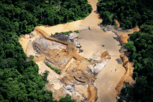 Contratisti statunitensi acquistano stagno da società accusata di estrazione illegale in Amazzonia. 
Acquisti discutibili di stagno da società brasiliana: contratisti statunitensi sotto accusa.