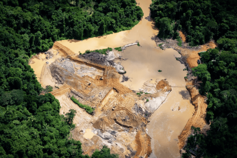 Contratisti statunitensi acquistano stagno da società accusata di estrazione illegale in Amazzonia. 
Acquisti discutibili di stagno da società brasiliana: contratisti statunitensi sotto accusa.
