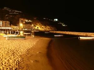 Il mare di notte non è mai veramente buio: come l’inquinamento luminoso sta cambiando la natura