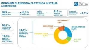Terna: ad agosto consumi elettrici record, +16,5% il dato mensile più alto mai registrato