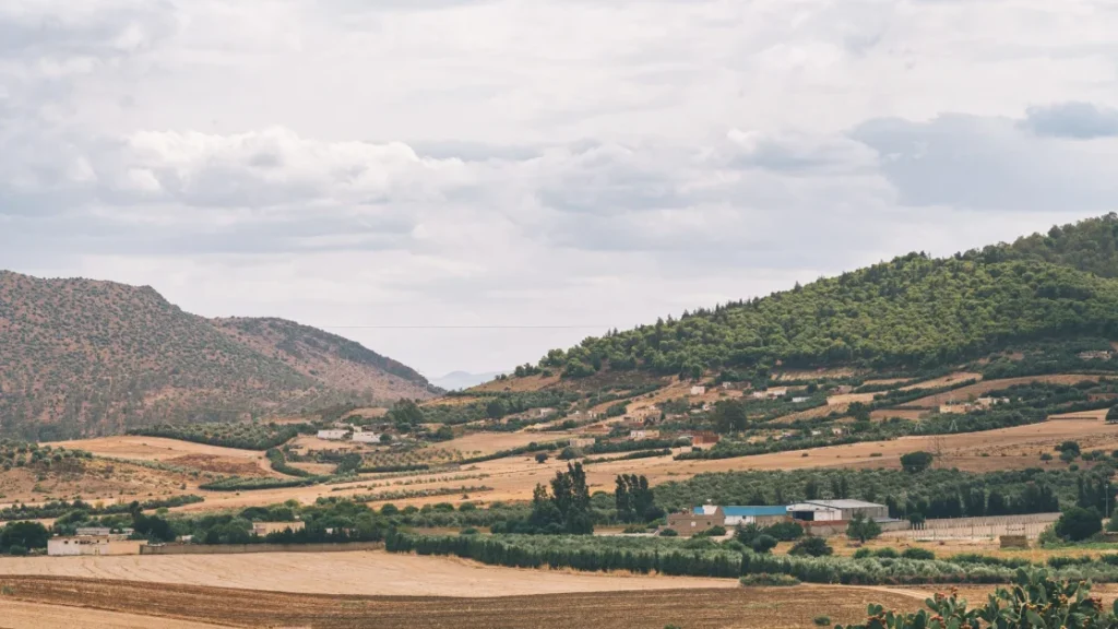Progetto Interreg NEXT: innovazione per l’agricoltura sostenibile tra Italia e Tunisia