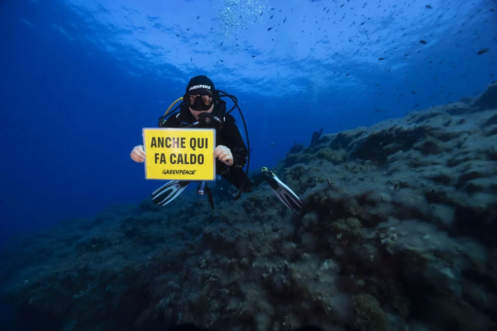 Ustica, il caldo estremo mette in crisi i fondali: morie e sbiancamento tra le specie marine