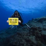 Ustica, il caldo estremo mette in crisi i fondali: morie e sbiancamento tra le specie marine