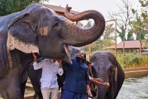 Organizzazioni chiedono a Vantara di fermare definitivamente importazioni animali selvatici.