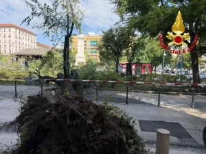 Milano, crolla improvvisamente un grosso ramo di un albero in Piazza Risorgimento: 3 persone ferite