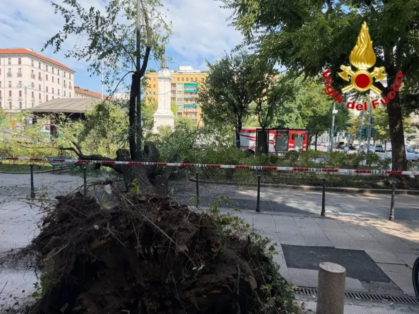 Milano, crolla improvvisamente un grosso ramo di un albero in Piazza Risorgimento: 3 persone ferite