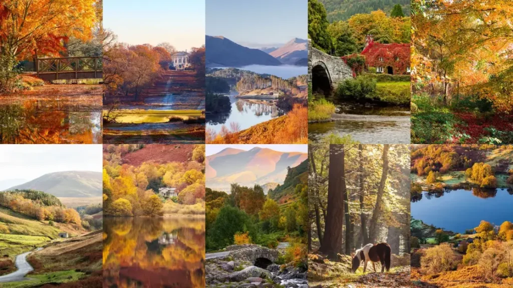 I 17 migliori posti per ammirare i colori autunnali nel Regno Unito per Google Discover.