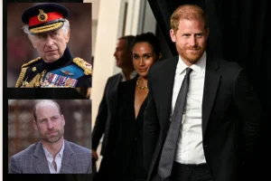 Scontro tra il Principe Harry e Meghan Markle con la Famiglia Reale: problemi in vista