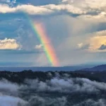 Principe William annuncia finalisti premio ecologico Earthshot: la lista completa dei candidati.