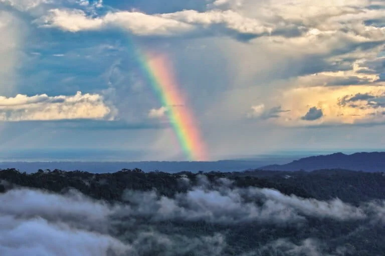 Principe William annuncia finalisti premio ecologico Earthshot: la lista completa dei candidati.