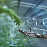 Ecologia integrale e Intelligenza Artificiale, il nuovo percorso dopo Laudato Sì
