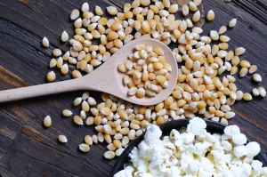Presenza di alcaloidi tropanici nel mais per popcorn: scoperta di Probios