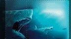 Shark – Il primo squalo su Italia 1, Stasera in TV del 23 settembre 2026
