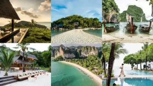 Le migliori 12 isole da visitare in Thailandia nel 2026 per viaggi di nozze, famiglie e viaggiatori solitari

Titolo: “Le migliori 12 isole da visitare in Thailandia nel 2026 per viaggi di nozze e famiglie”