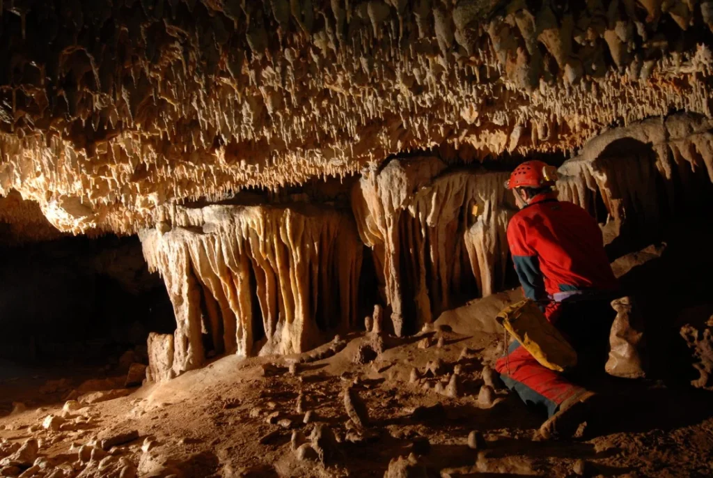 Grotte di Carini, un viaggio nel cuore della Sicilia sotterranea tra fossili e biodiversità
