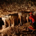Grotte di Carini, un viaggio nel cuore della Sicilia sotterranea tra fossili e biodiversità