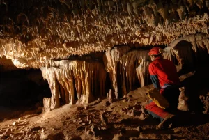 Grotte di Carini, un viaggio nel cuore della Sicilia sotterranea tra fossili e biodiversità