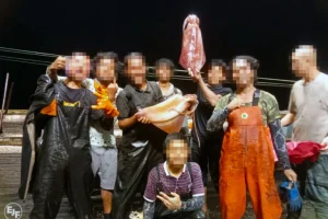 Calamari cinesi legati agli abusi sul lavoro trovano accesso ai mercati occidentali, facile divulgazione.