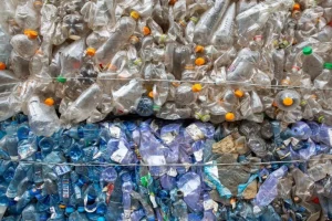 Il libro dell’industria plastica nasconde i danni del riciclo chimico, criticano gli esperti.