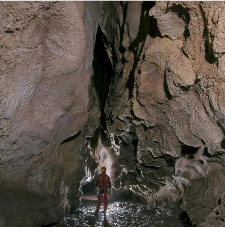 Educazione ambientale in Sicilia, le riserve naturali diventano aule a cielo aperto