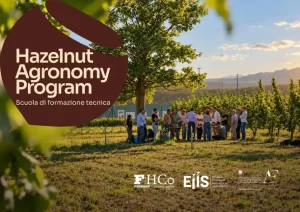 Aperte iscrizioni Hazelnut Agronomy Program: seconda edizione
